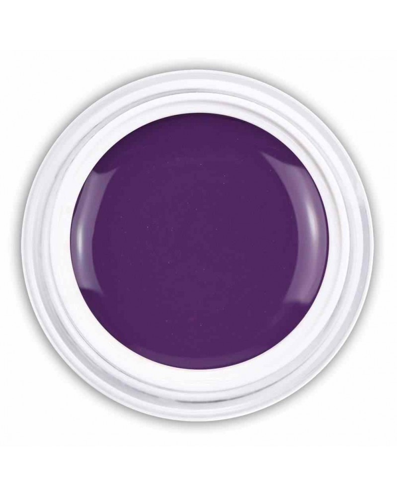 Farbgel indigo lilac