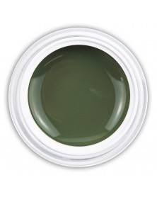 Farbgel Glossy Light Olive