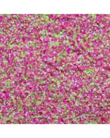 Candy Dream Bunt 3 3