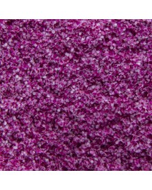 Candy Dream Lila 3
